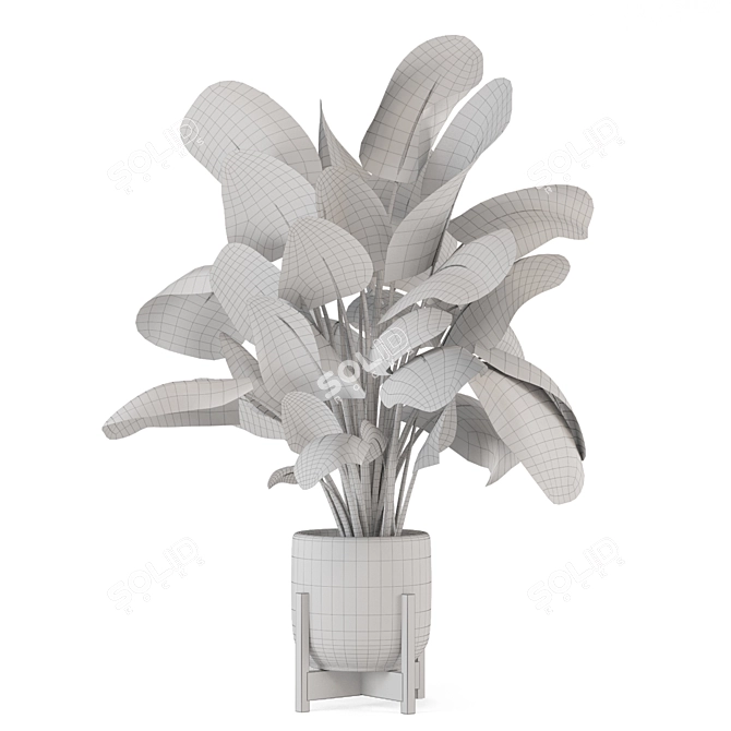 Handcrafted Stone Pot Indoor Plants 3D model image 5