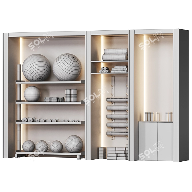  Proiron Gym Rack Wall Solution 3D model image 4