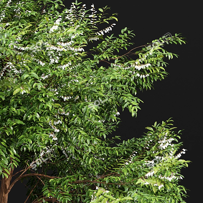 Floral Tree Models Bundle 3D model image 3