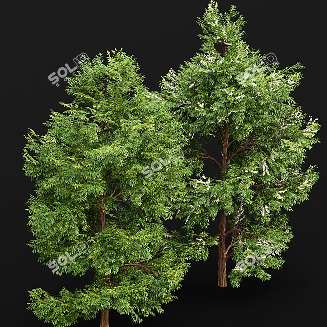 Floral Tree Models Bundle 3D model image 5