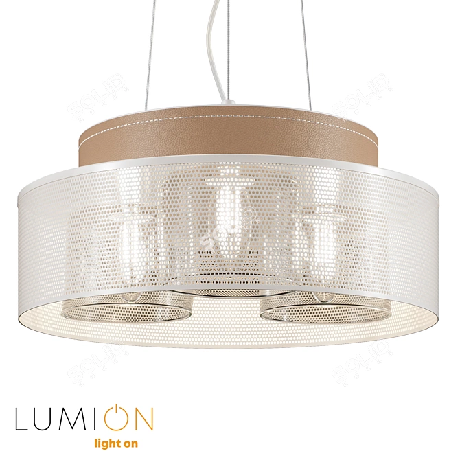 Elegant Lumion Pendant Light 3D model image 3