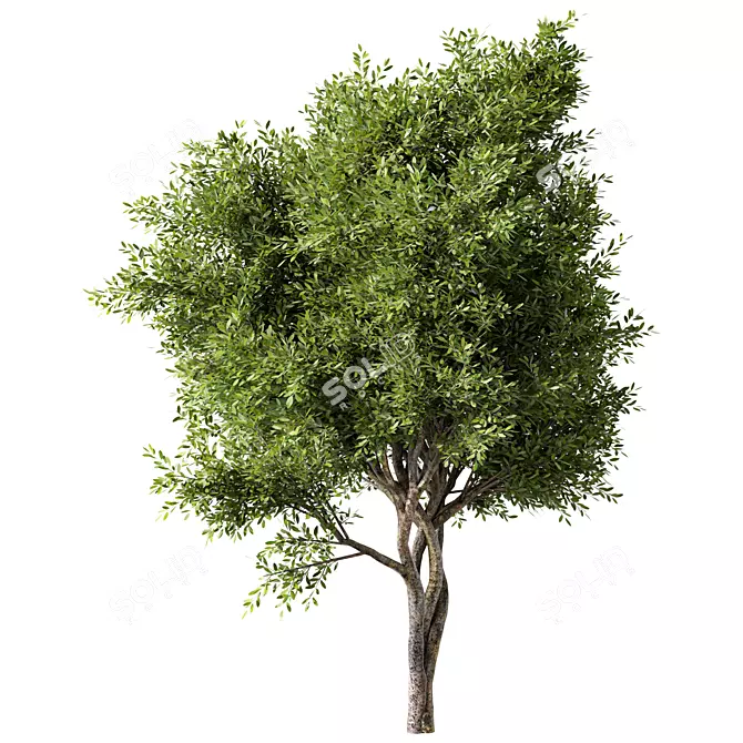Modern Artistic Tree Sculpture 3D model image 1