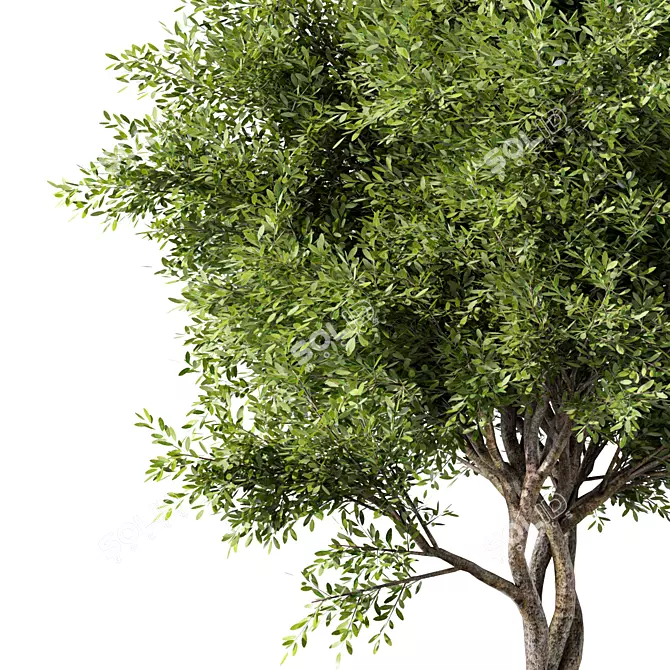 Modern Artistic Tree Sculpture 3D model image 2