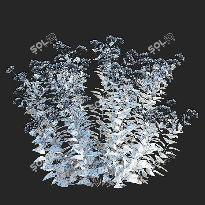 Conoclinium coelestinum Flower Set 3D model image 3