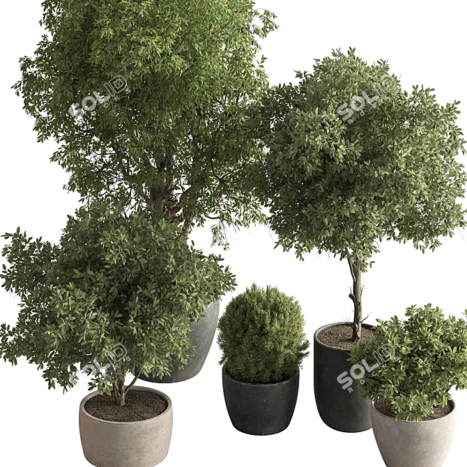 Grove Greenery 765 - Potted Tree 3D model image 2