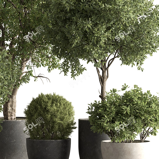 Grove Greenery 765 - Potted Tree 3D model image 3