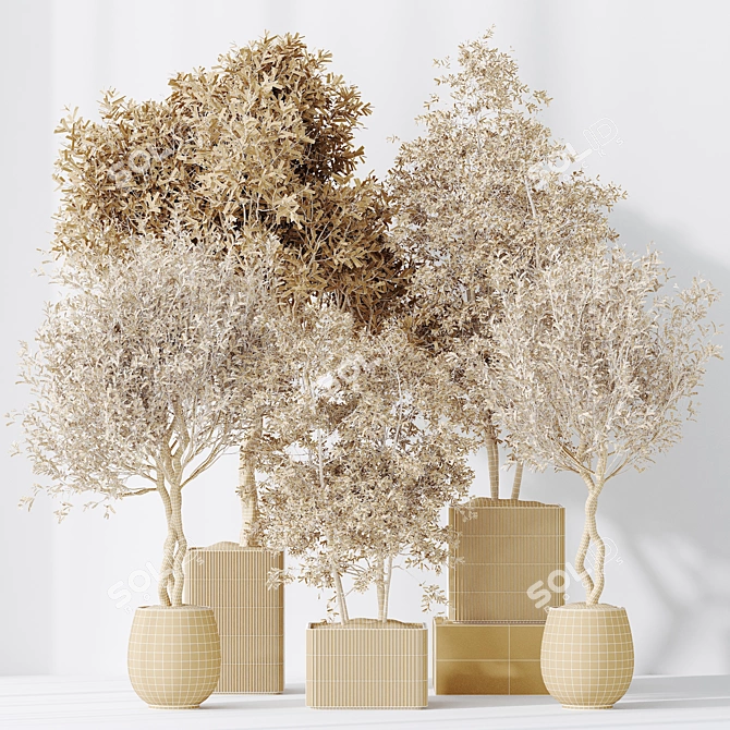 Elegant Olive Indoor Plant Set 3D model image 6