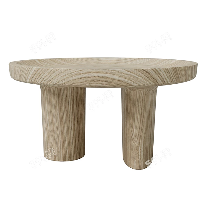 Stone Garden Minimalist Coffee Table 3D model image 3