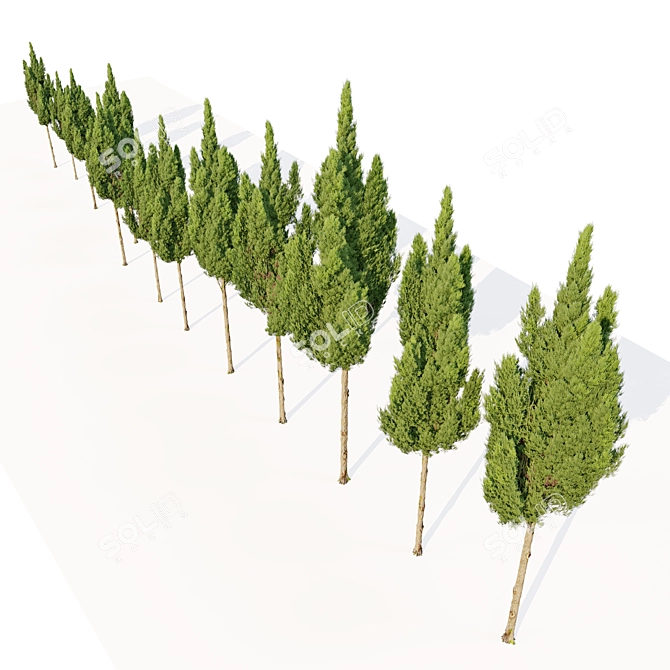 Juniperus Virginiana VRay Cedar Model 3D model image 4