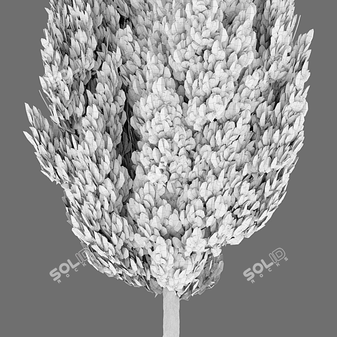 Juniperus Virginiana VRay Cedar Model 3D model image 5