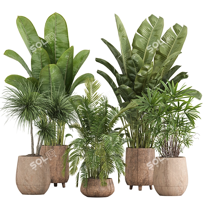 Green Indoor Plant Set 053 3D model image 1