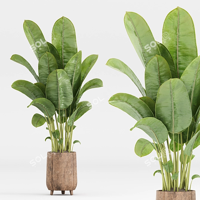 Green Indoor Plant Set 053 3D model image 3