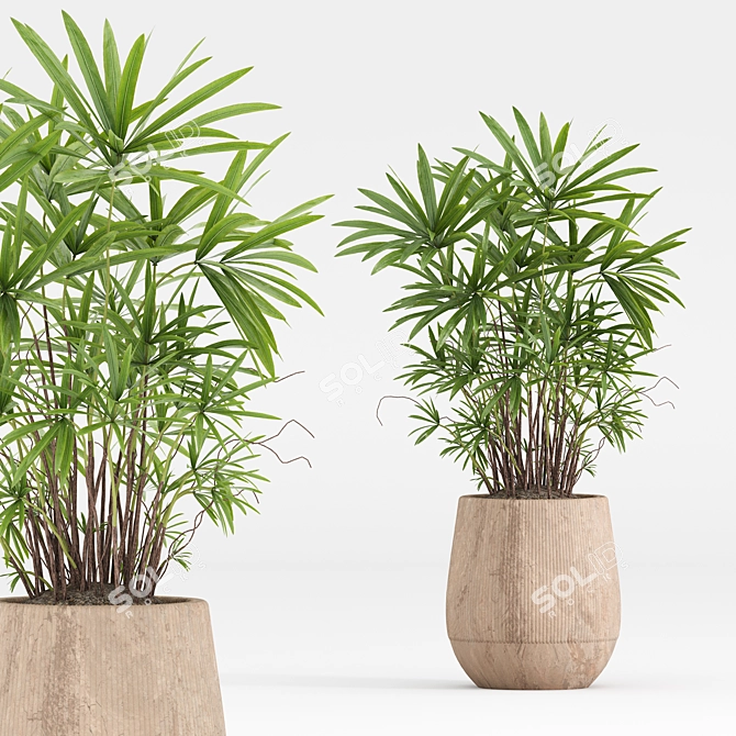 Green Indoor Plant Set 053 3D model image 4