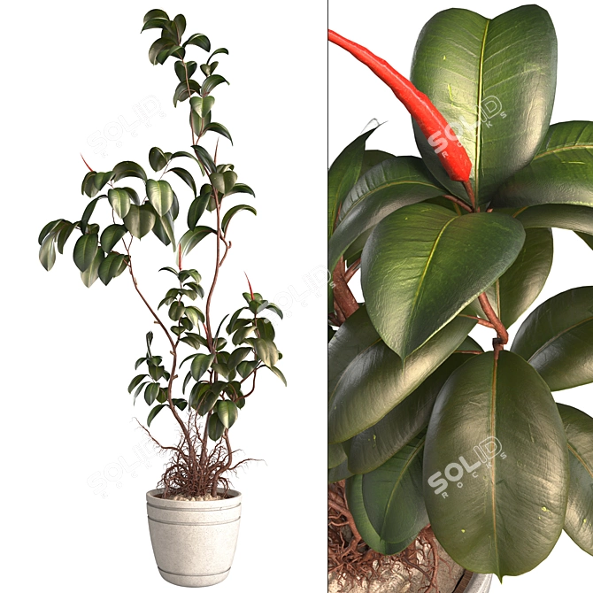 3D Plant and Decor Set 3D model image 1