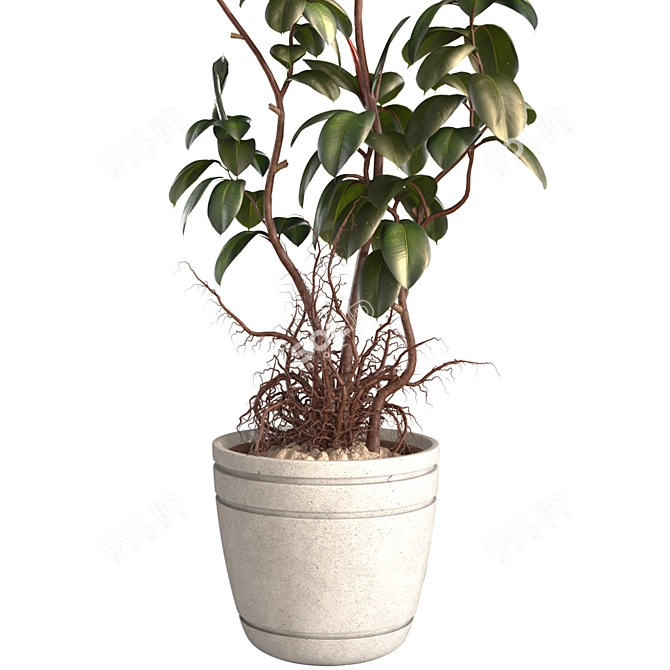 3D Plant and Decor Set 3D model image 4