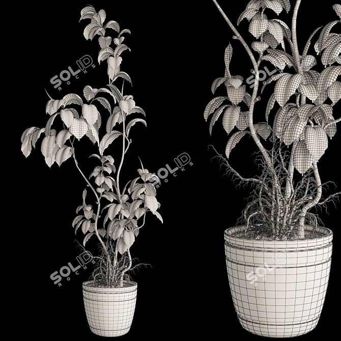 3D Plant and Decor Set 3D model image 7