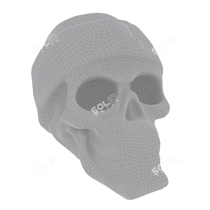 3D Skull Model OBJ VRay 3D model image 5