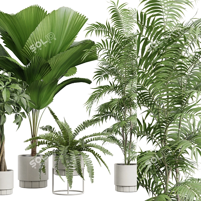 Exotic Indoor Plants Pack - 3D 3D model image 2