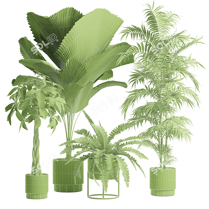 Exotic Indoor Plants Pack - 3D 3D model image 3