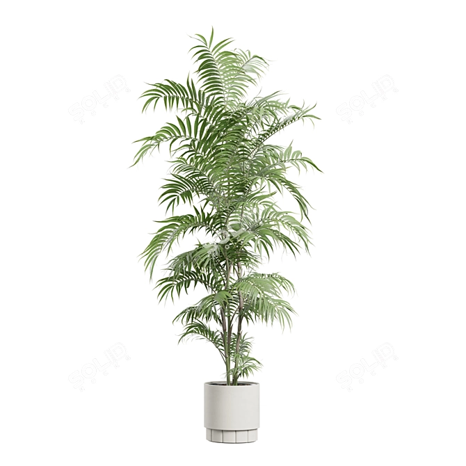 Exotic Indoor Plants Pack - 3D 3D model image 6