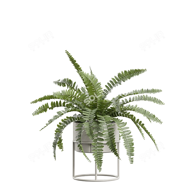 Exotic Indoor Plants Pack - 3D 3D model image 7