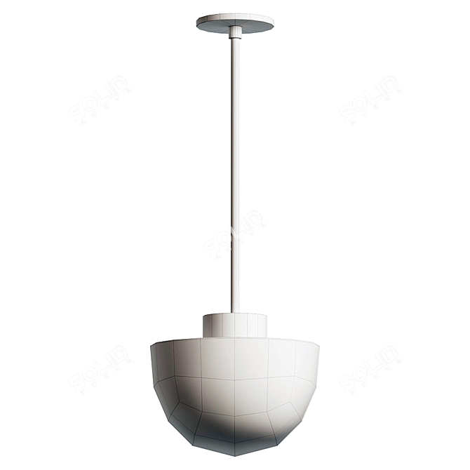 Modern Large Pendant Light Fixture 3D model image 4