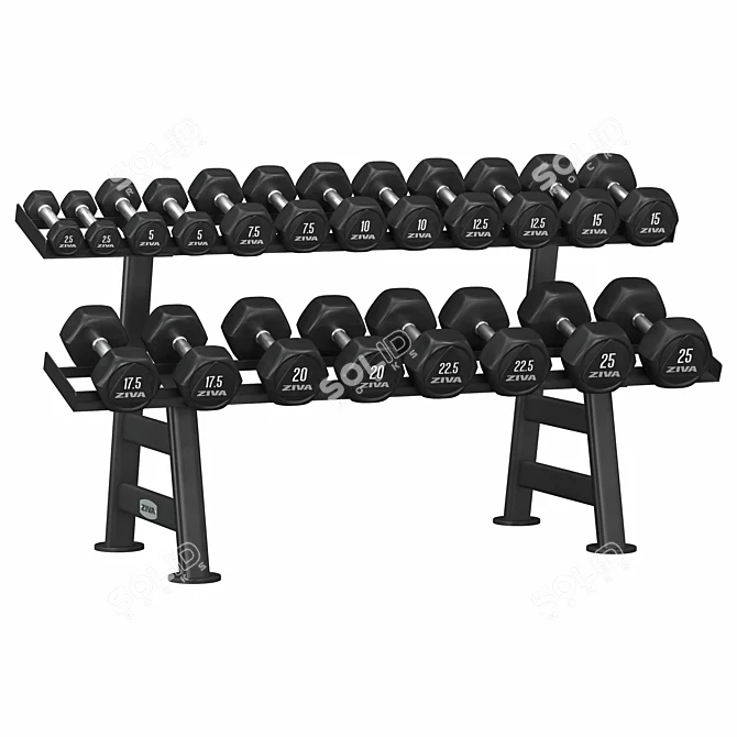 Hex Dumbbell Rack Storage Organizer 3D model image 1