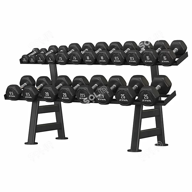 Hex Dumbbell Rack Storage Organizer 3D model image 3