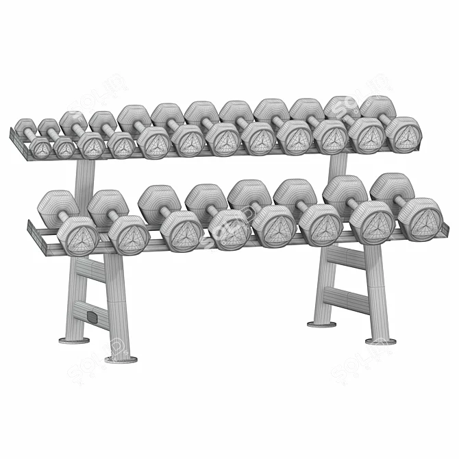 Hex Dumbbell Rack Storage Organizer 3D model image 7