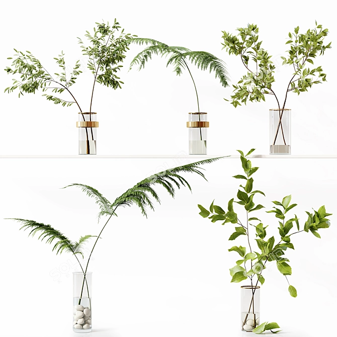 Premium Indoor Plant Collection 3D 3D model image 2