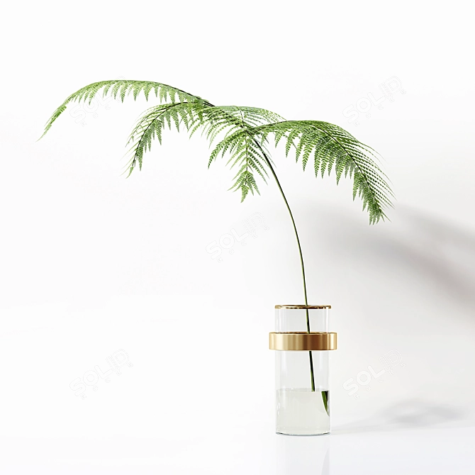 Premium Indoor Plant Collection 3D 3D model image 6