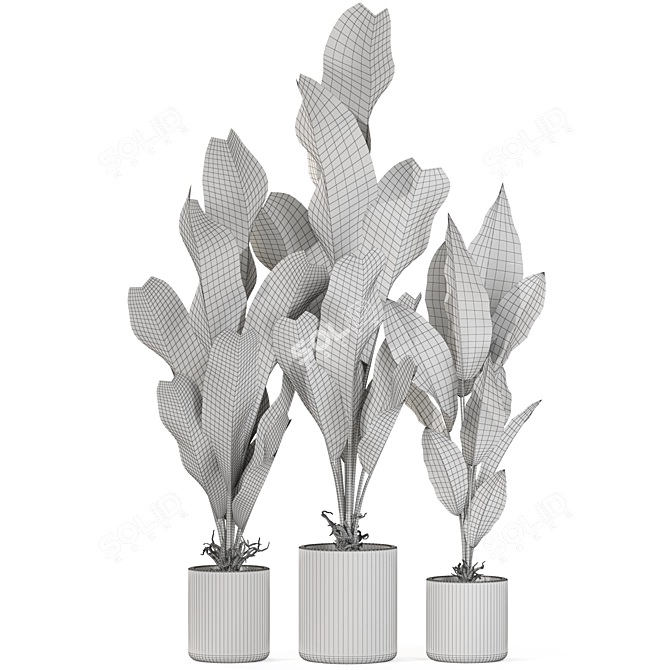 Botanical Marvels 3D Model Collection 3D model image 2