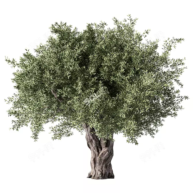 Modern Minimalist Tree Sculpture 3D model image 1