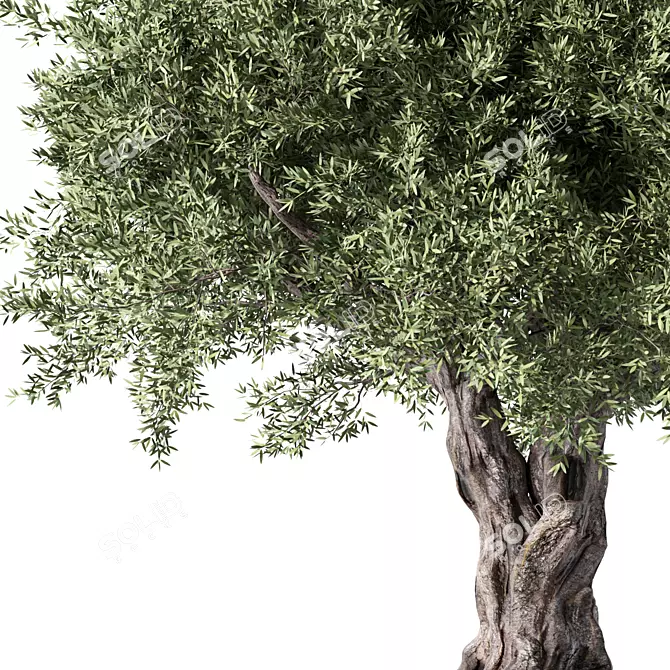 Modern Minimalist Tree Sculpture 3D model image 2