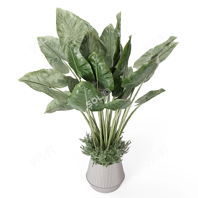 Modern Indoor Plants Set 2333 3D model image 1