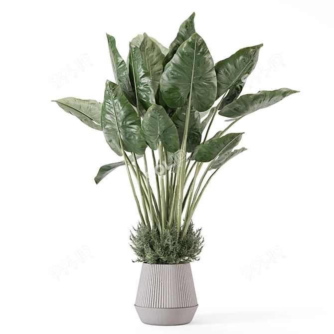 Modern Indoor Plants Set 2333 3D model image 2