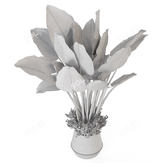 Modern Indoor Plants Set 2333 3D model image 3