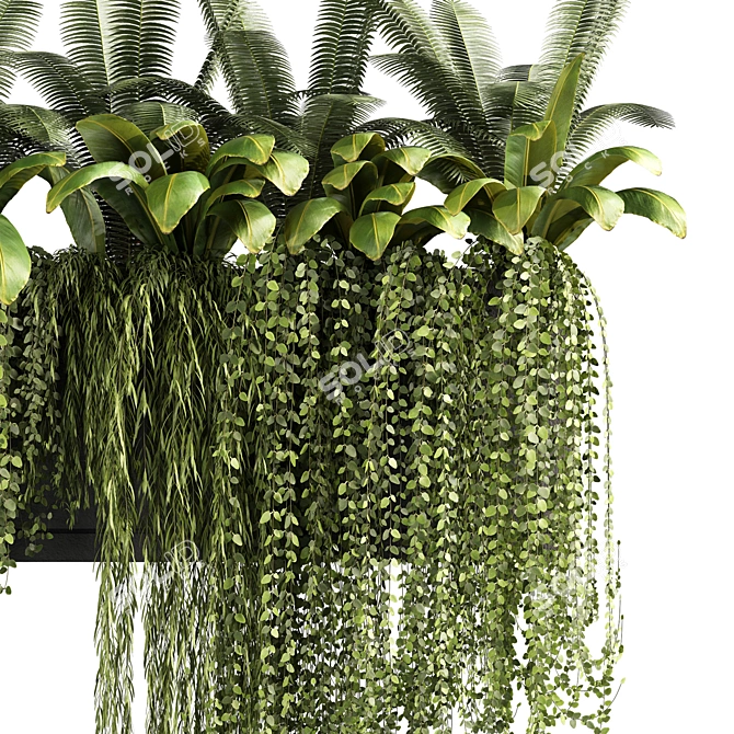 Lush Ivy Plant Set 13 3D model image 4