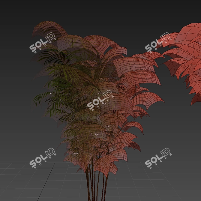 Chamaedorea Seifrizii Bamboo 3D Model 3D model image 6