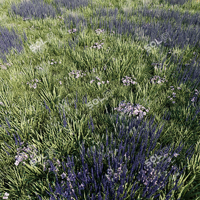 Lavender Meadow 3D Model 3D model image 1