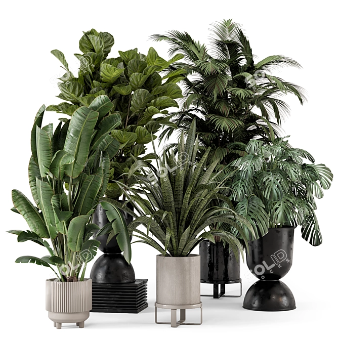 Modern Indoor Plants Set 2334 3D model image 1