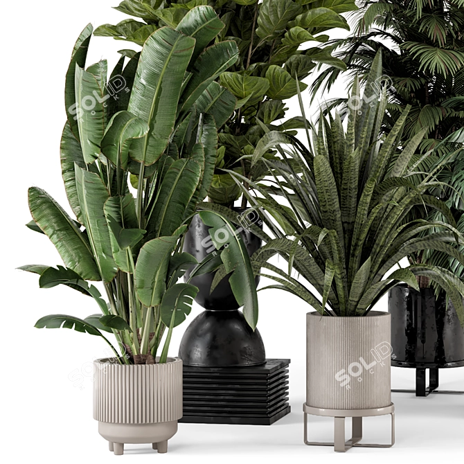 Modern Indoor Plants Set 2334 3D model image 2