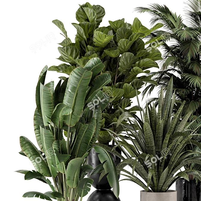 Modern Indoor Plants Set 2334 3D model image 3