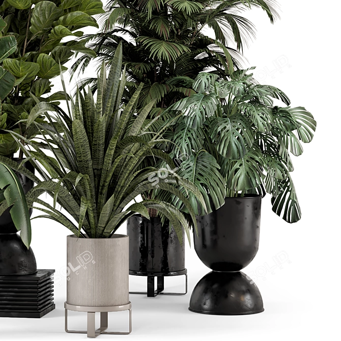 Modern Indoor Plants Set 2334 3D model image 5