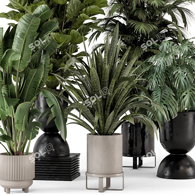 Modern Indoor Plants Set 2334 3D model image 6