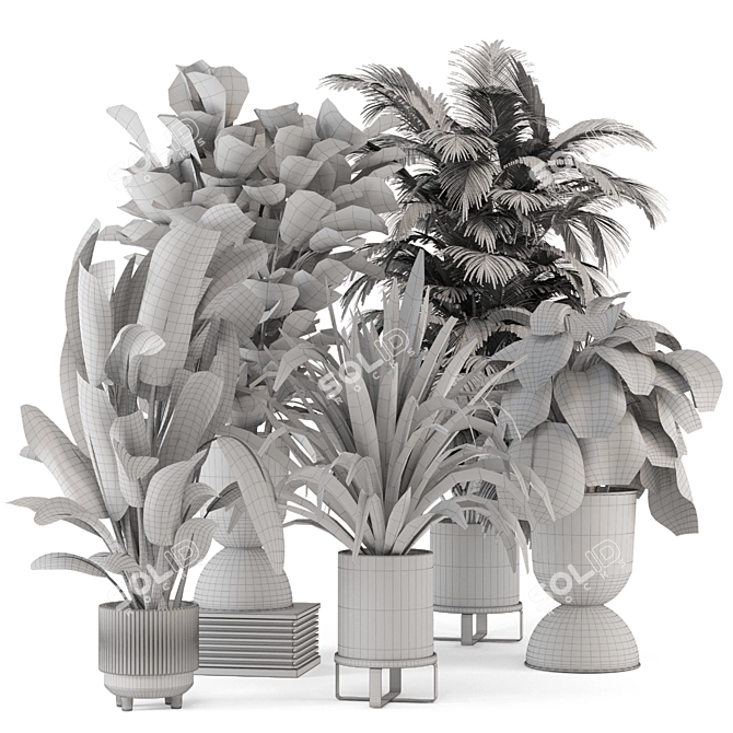 Modern Indoor Plants Set 2334 3D model image 7