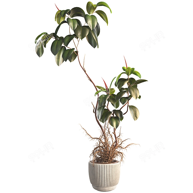 3D Plant & Decor Objects Bundle 3D model image 2