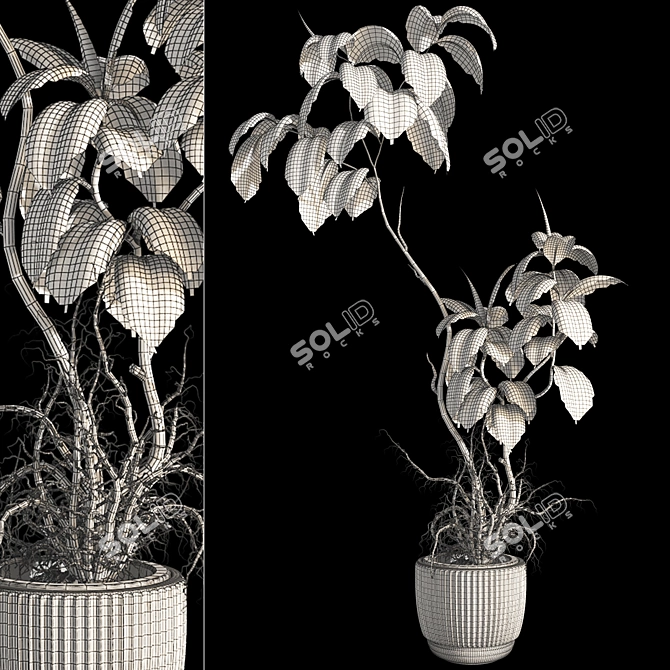 3D Plant & Decor Objects Bundle 3D model image 7