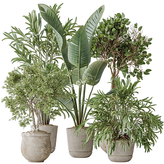 Modern Indoor Plant 3D Models 3D model image 1