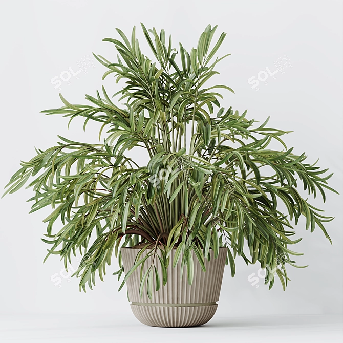 Modern Indoor Plant 3D Models 3D model image 3